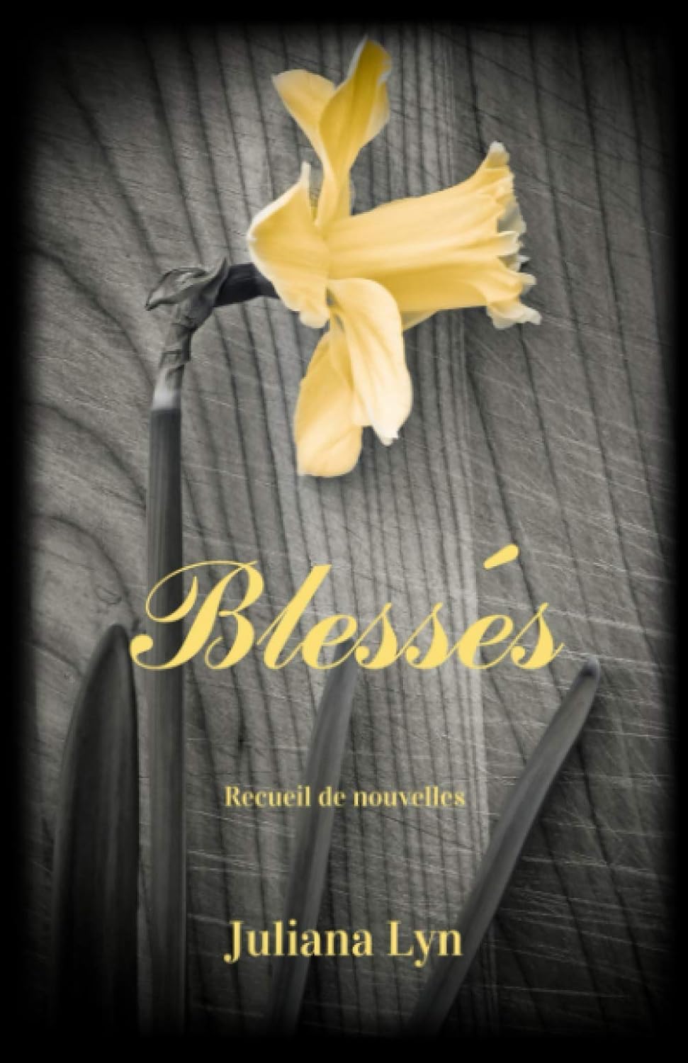 Blessés, recueil de nouvelles noires par Juliana Lyn